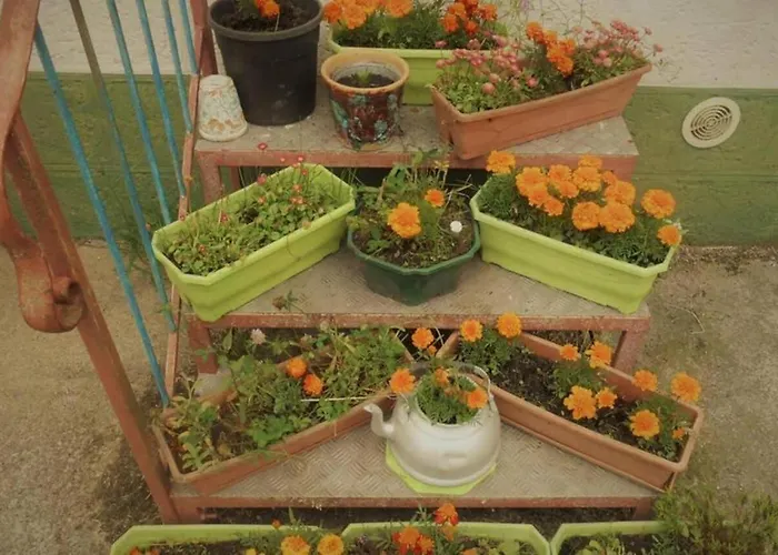 14 Rue De Monteville Appartement Coupelle-Vieille