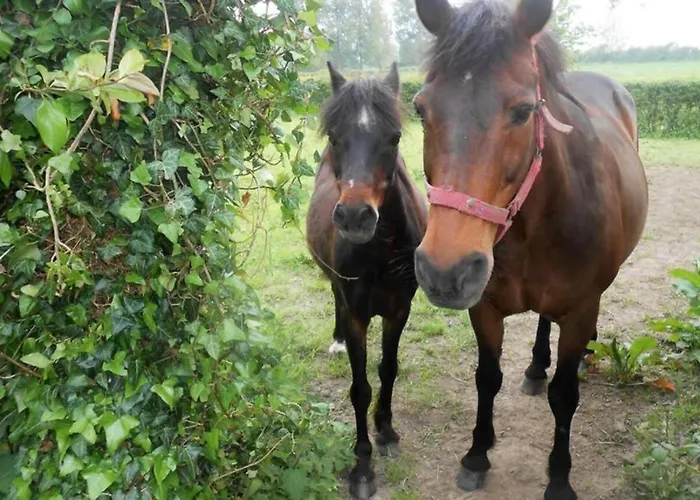 14 Rue De Monteville * Coupelle-Vieille